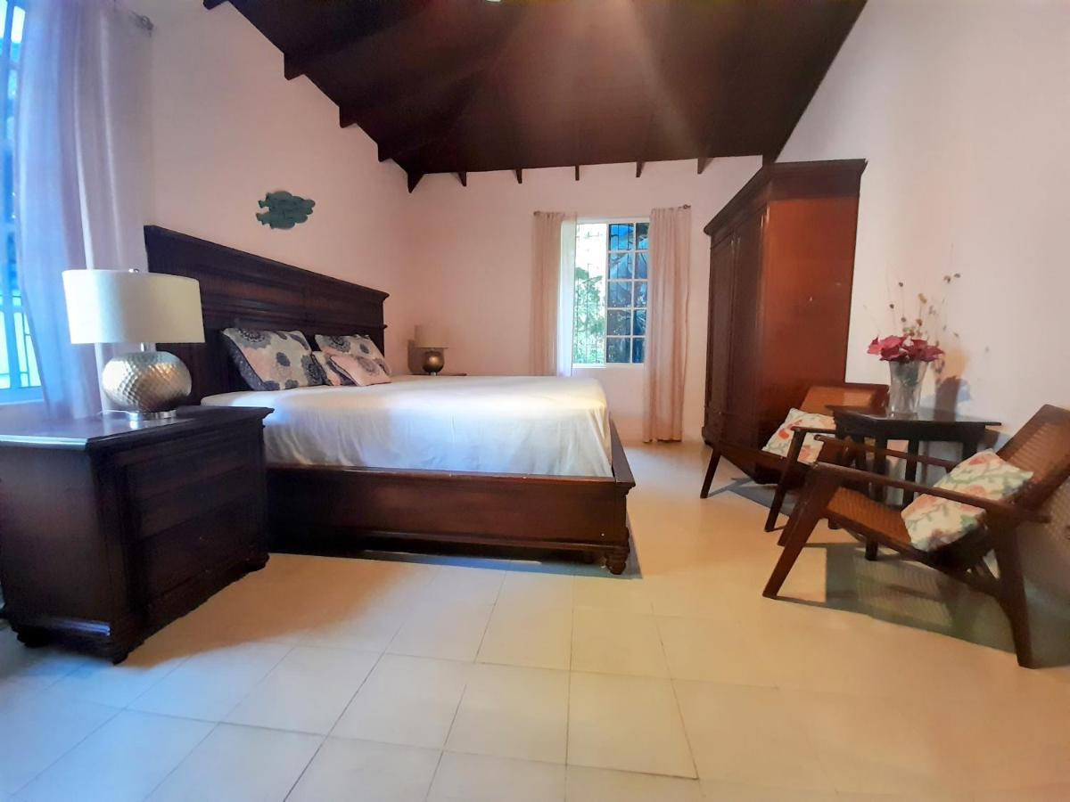 Kismet Garden Cottages - Dover Beach Крайст Чърч Екстериор снимка